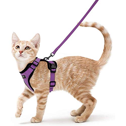 rabbitgoo Katzengeschirr mit Leine Softgeschirr für Katze Brustgeschirr Cat Harness Katzengarnitur ausbruchsicher verstellbar Katzenweste Lila S von rabbitgoo