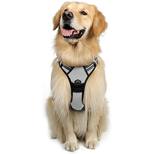 rabbitgoo Hundegeschirr Mittelgroße Hunde, Anti Zug Geschirr mit Kontrolle, No Pull Verstellbar Hundegeschirr Grosse Hunde, Atmungsaktiv Reflexstreifen Brustgeschirr Sichere Führung Grau L rabbitgoo Hundegeschirr Mittelgroße Hunde, Anti Zug Geschirr mit Kontrolle, No Pull Verstellbar Hundegeschirr Grosse Hunde, Atmungsaktiv Reflexstreifen Brustgeschirr Sichere Führung Grau L von rabbitgoo