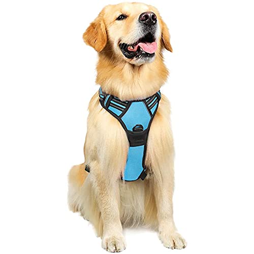 rabbitgoo Hundegeschirr Mittelgroße Hunde, Anti Zug Geschirr mit Kontrolle, No Pull Verstellbar Hundegeschirr Grosse Hunde, Atmungsaktiv Reflexstreifen Brustgeschirr Sichere Führung Hellblau L rabbitgoo Hundegeschirr Mittelgroße Hunde, Anti Zug Geschirr mit Kontrolle, No Pull Verstellbar Hundegeschirr Grosse Hunde, Atmungsaktiv Reflexstreifen Brustgeschirr Sichere Führung Hellblau L von rabbitgoo