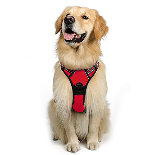 rabbitgoo Hundegeschirr Mittelgroße Hunde, Anti Zug Geschirr mit Kontrolle, No Pull Verstellbar Hundegeschirr Grosse Hunde, Atmungsaktiv Reflexstreifen Brustgeschirr Sichere Führung Rot L rabbitgoo Hundegeschirr Mittelgroße Hunde, Anti Zug Geschirr mit Kontrolle, No Pull Verstellbar Hundegeschirr Grosse Hunde, Atmungsaktiv Reflexstreifen Brustgeschirr Sichere Führung Rot L von rabbitgoo