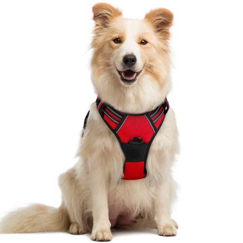 rabbitgoo Hundegeschirr Mittelgroße Hunde, Anti Zug Geschirr mit Kontrolle, No Pull Verstellbar Hundegeschirr Grosse Hunde, Atmungsaktiv Reflexstreifen Brustgeschirr Sichere Führung Rot M rabbitgoo Hundegeschirr Mittelgroße Hunde, Anti Zug Geschirr mit Kontrolle, No Pull Verstellbar Hundegeschirr Grosse Hunde, Atmungsaktiv Reflexstreifen Brustgeschirr Sichere Führung Rot M von rabbitgoo