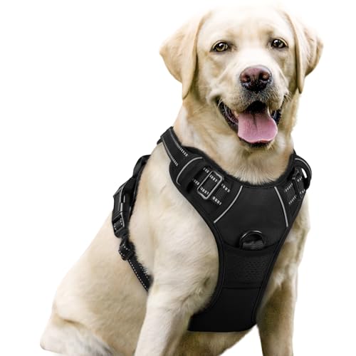 rabbitgoo Hundegeschirr Mittelgroße Hunde, Anti Zug Geschirr mit Kontrolle, No Pull Verstellbar Hundegeschirr Grosse Hunde, Atmungsaktiv Reflexstreifen Brustgeschirr Sichere Führung Schwarz L rabbitgoo Hundegeschirr Mittelgroße Hunde, Anti Zug Geschirr mit Kontrolle, No Pull Verstellbar Hundegeschirr Grosse Hunde, Atmungsaktiv Reflexstreifen Brustgeschirr Sichere Führung Schwarz L von rabbitgoo