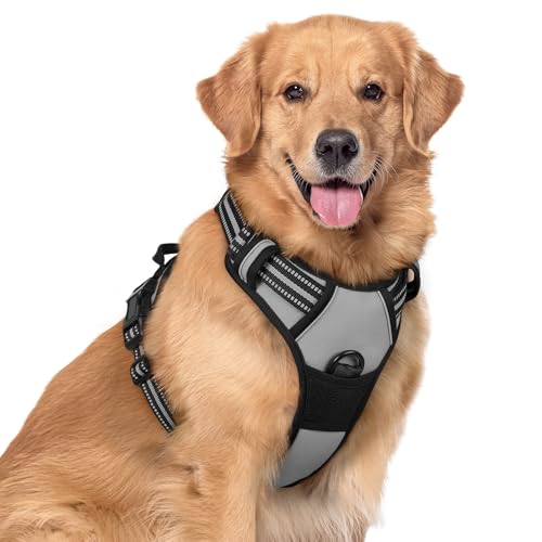 rabbitgoo Hundegeschirr Mittelgroße Hunde, Anti Zug Geschirr mit Kontrolle, No Pull Verstellbar Hundegeschirr Grosse Hunde, Atmungsaktiv Reflexstreifen Brustgeschirr Sichere Führung Grau XL rabbitgoo Hundegeschirr Mittelgroße Hunde, Anti Zug Geschirr mit Kontrolle, No Pull Verstellbar Hundegeschirr Grosse Hunde, Atmungsaktiv Reflexstreifen Brustgeschirr Sichere Führung Grau XL von rabbitgoo
