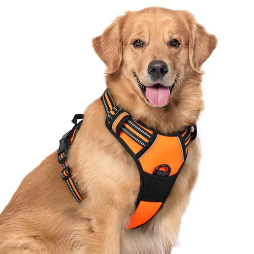 rabbitgoo Hundegeschirr Mittelgroße Hunde Anti Zug Geschirr Hund mit Kontrolle No Pull Verstellbar Hundegeschirr Grosse Hunde Atmungsaktiv Reflexstreifen Brustgeschirr Hund Sichere Führung Orange XL von rabbitgoo