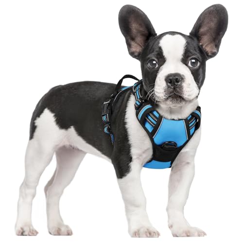 rabbitgoo Hundegeschirr Mittelgroße Hunde, Anti Zug Geschirr mit Kontrolle, No Pull Verstellbar Hundegeschirr Grosse Hunde, Atmungsaktiv Reflexstreifen Brustgeschirr Sichere Führung Hellblau S von rabbitgoo