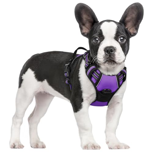 rabbitgoo Hundegeschirr Mittelgroße Hunde, Anti Zug Geschirr mit Kontrolle, No Pull Verstellbar Hundegeschirr Grosse Hunde, Atmungsaktiv Reflexstreifen Brustgeschirr Sichere Führung Lila S rabbitgoo Hundegeschirr Mittelgroße Hunde, Anti Zug Geschirr mit Kontrolle, No Pull Verstellbar Hundegeschirr Grosse Hunde, Atmungsaktiv Reflexstreifen Brustgeschirr Sichere Führung Lila S von rabbitgoo