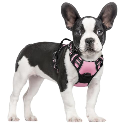 rabbitgoo Hundegeschirr Mittelgroße Hunde, Anti Zug Geschirr mit Kontrolle, No Pull Verstellbar Hundegeschirr Grosse Hunde, Atmungsaktiv Reflexstreifen Brustgeschirr Sichere Führung Rosa S von rabbitgoo