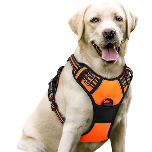 rabbitgoo Hundegeschirr Mittelgroße Hunde, Anti Zug Geschirr mit Kontrolle, No Pull Verstellbar Hundegeschirr Grosse Hunde, Atmungsaktiv Reflexstreifen Brustgeschirr Sichere Führung Orange L von rabbitgoo