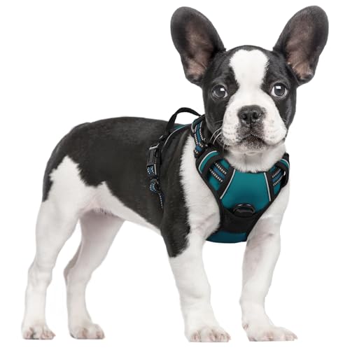 rabbitgoo Hundegeschirr Mittelgroße Hunde, Anti Zug Geschirr mit Kontrolle, No Pull Verstellbar Hundegeschirr Grosse Hunde, Atmungsaktiv Reflexstreifen Brustgeschirr Sichere Führung Dunkelgrün S von rabbitgoo