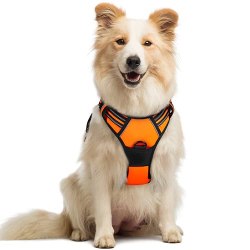 rabbitgoo Hundegeschirr Mittelgroße Hunde Anti Zug Geschirr Hund mit Kontrolle No Pull Verstellbar Hundegeschirr Grosse Hunde Atmungsaktiv Reflexstreifen Brustgeschirr Hund Sichere Führung Orange M von rabbitgoo