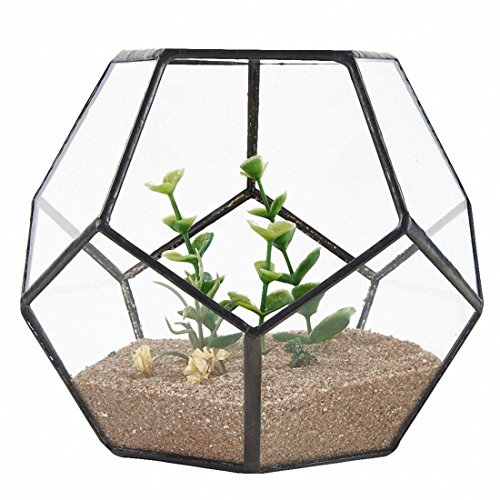 rieder Pflanzgefäß aus schwarzem Glas, Pentagon, geometrisches Terrarium, Behälter, Fensterbank, Dekoration, Blumentopf, Balkon, Pflanzgefäß, DIY, Ausstellungsbox (ohne Pflanze) von rieder