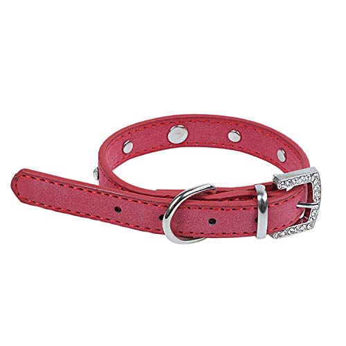 rieder SchöNe Strass Hundeknochen Halsband, SchöN Rot S: 1,5 x 37Cm von rieder
