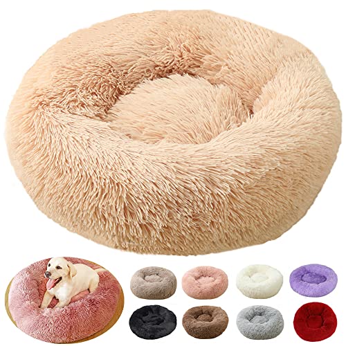 Hundebett XXL, Hundekissen XXL, große Größe, Hundebett XXL, Puppy Love Anti-Stress-Korb Orthopädisch, Mittel (100 cm, Apricot) von rngcpto