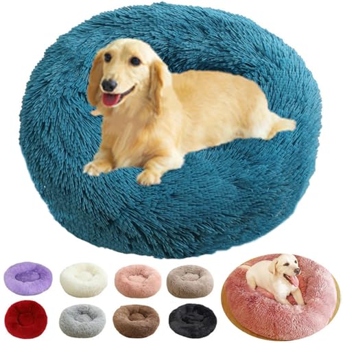 rngcpto Hundebett Flauschig, Katzenkörbchen Katzen Bett Multi Farbe und Größen Hundekissen Hundekorb Mittelgroße Hunde Hundebett Waschbar für Keine Hunde und Katzen (Blau, 60cm) rngcpto Hundebett Flauschig, Katzenkörbchen Katzen Bett Multi Farbe und Größen Hundekissen Hundekorb Mittelgroße Hunde Hundebett Waschbar für Keine Hunde und Katzen (Blau, 60cm) von rngcpto