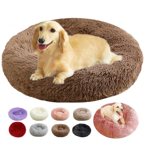 Hundebett, Katzenbett Flauschig für Indoor-Katzen, 40cm, Hundekorb Kleine Hunde, Multi Farbe und Größen Hundekissen Katzenkissen Hundebett Rund Schlafplätze Möbel für Hunde und Katzen (Coffee, 40cm) Hundebett, Katzenbett Flauschig für Indoor-Katzen, 40cm, Hundekorb Kleine Hunde, Multi Farbe und Größen Hundekissen Katzenkissen Hundebett Rund Schlafplätze Möbel für Hunde und Katzen (Coffee, 40cm) von rngcpto