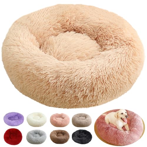 rngcpto Hundebett, Katzenbett Flauschig, Hundekorb Kleine Hunde, Multi Farbe und Größen Hundekissen Katzenkissen Hundebett Rund Schlafplätze Möbel für Hunde und Katzen (Gelb, 40cm) rngcpto Hundebett, Katzenbett Flauschig, Hundekorb Kleine Hunde, Multi Farbe und Größen Hundekissen Katzenkissen Hundebett Rund Schlafplätze Möbel für Hunde und Katzen (Gelb, 40cm) von rngcpto