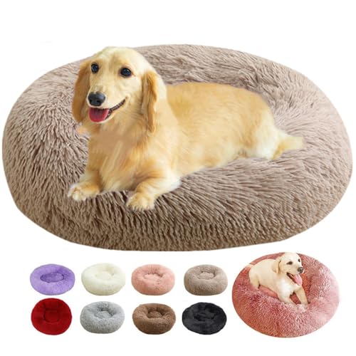 rngcpto Katzenbett Flauschig für Indoor-Katzen, 50cm, Multi Farbe und Größen Hundebett Waschbar Hundebett Kleine Hunde, Katzenkorb Hundekorb Schlafplätze Möbel für Hunde und Katzen (Khaki, 50cm) rngcpto Katzenbett Flauschig für Indoor-Katzen, 50cm, Multi Farbe und Größen Hundebett Waschbar Hundebett Kleine Hunde, Katzenkorb Hundekorb Schlafplätze Möbel für Hunde und Katzen (Khaki, 50cm) von rngcpto