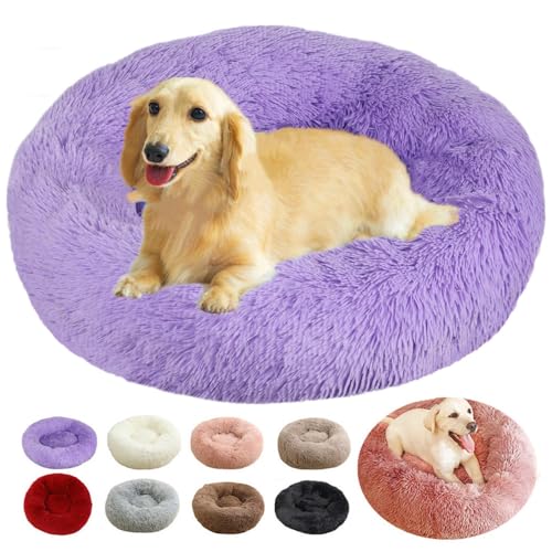 rngcpto Hundekissen Mittelgroße Hunde, Hundebett Rund Katzenbett Donut, Multi Farbe und Größen Hundesofa Weich rutschfeste Unterseite Hundekorb Schlafplätze Möbel für Hunde und Katzen (Lila, 90cm) rngcpto Hundekissen Mittelgroße Hunde, Hundebett Rund Katzenbett Donut, Multi Farbe und Größen Hundesofa Weich rutschfeste Unterseite Hundekorb Schlafplätze Möbel für Hunde und Katzen (Lila, 90cm) von rngcpto
