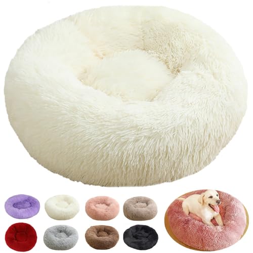 rngcpto Hundebett Flauschig, Katzenkörbchen Katzen Bett Multi Farbe und Größen Hundekissen Hundekorb Mittelgroße Hunde Hundebett Waschbar für Keine Hunde und Katzen (Weiß, 60cm) rngcpto Hundebett Flauschig, Katzenkörbchen Katzen Bett Multi Farbe und Größen Hundekissen Hundekorb Mittelgroße Hunde Hundebett Waschbar für Keine Hunde und Katzen (Weiß, 60cm) von rngcpto