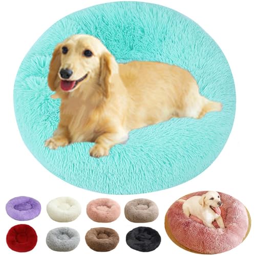 rngcpto Hundebett Mittelgroße Hunde, Hundekissen Hundekörbchen Donut Multi Farbe Hundebetten Waschbar Weich Katzenbett Katzenkissen Flauschig Schlafplätze Möbel für Hunde und Katzen (Hellgrün, 70cm) rngcpto Hundebett Mittelgroße Hunde, Hundekissen Hundekörbchen Donut Multi Farbe Hundebetten Waschbar Weich Katzenbett Katzenkissen Flauschig Schlafplätze Möbel für Hunde und Katzen (Hellgrün, 70cm) von rngcpto