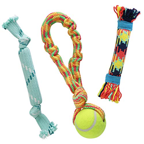 rocket & rex HundespielzeugSet und Hundespielzeug aus Seil – Enthält ein dehnbares Hundespielzeug Zerrseil mit Ball für Zerren, Seilspielzeug mit Gummi und Knistern für zusätzlichen Kauspaß, für von rocket & rex