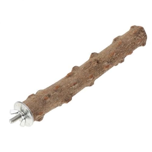 rockible 2X Papagei Vogel Natürliche Stachelige Esche Barsch, Finken Schaukel Stand Plattform, Ideal für Übung Balance Und Haben rockible 2X Papagei Vogel Natürliche Stachelige Esche Barsch, Finken Schaukel Stand Plattform, Ideal für Übung Balance Und Haben von rockible
