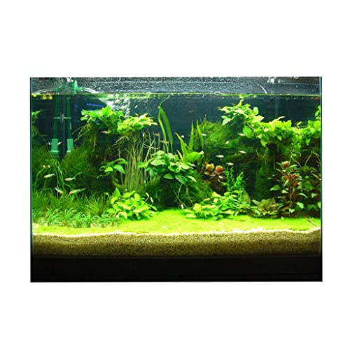 rockible Aquarium Dekorationspapier, Tropische Unterwasserwelt, 122 x 46 cm von rockible