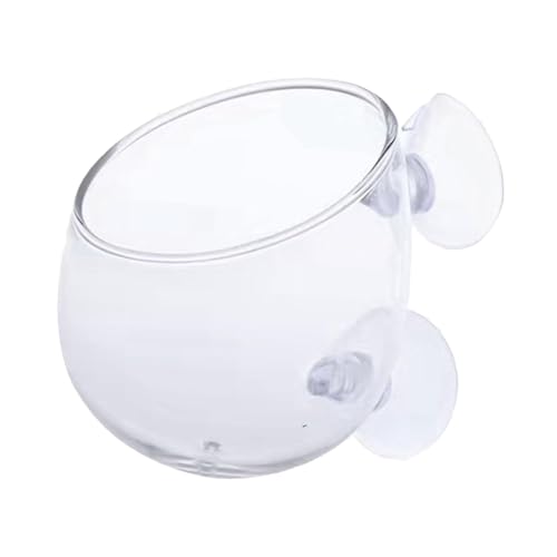 rockible Aquarium Pflanzgefäß Tasse Grashalter Glaszubehör Pflanzenhalter Mini für Aquarium von rockible