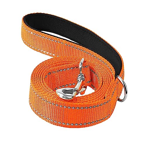 rockible Hochwertige Hundeleine aus reflektierendem Material, 1,8 m lang, für große und kleine Hunde, Orange rockible Hochwertige Hundeleine aus reflektierendem Material, 1,8 m lang, für große und kleine Hunde, Orange von rockible