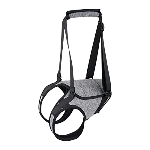 rockible Hundegeschirr für Unterstützung, Hüftgurt für Haustiere, Hebeschlinge für Hinterbeine, Tierbedarf, XL rockible Hundegeschirr für Unterstützung, Hüftgurt für Haustiere, Hebeschlinge für Hinterbeine, Tierbedarf, XL von rockible