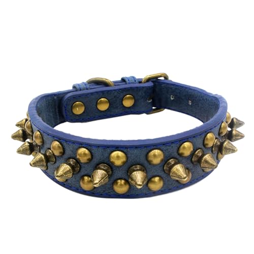 rockible Hundehalsband mit Verstellbarer Passform für aktive Hunde, L blau von rockible