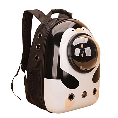 rockible Rucksack für kleine Hunde - Bequemer Begleiter für unterwegs rockible Rucksack für kleine Hunde - Bequemer Begleiter für unterwegs von rockible