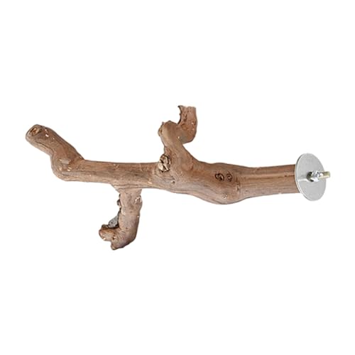 rockible Saugnapf Holz Sitzstange Spielzeug Leiter Spielen Ruhen Papagei Spielständer Papageien Käfig Sitzstange Spielzeug für Kleine Mittel Vögel, 30CM von rockible