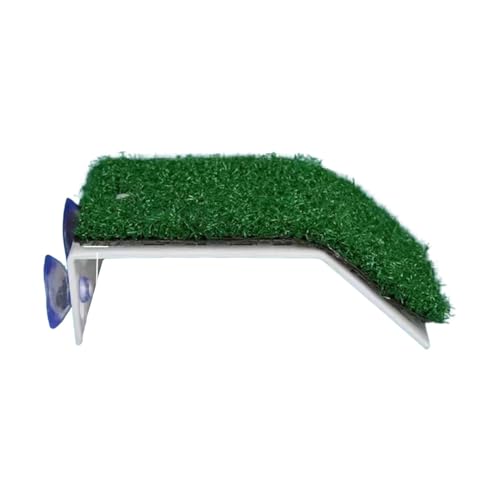 rockible Schildkröten Aalplattform, Kunstrasen Schildkrötenrampe, Schildkröten Ruheterrasse für Schildkröten rockible Schildkröten Aalplattform, Kunstrasen Schildkrötenrampe, Schildkröten Ruheterrasse für Schildkröten von rockible