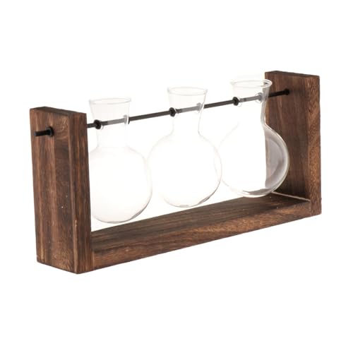 rockible Terrarium-Glas-Pflanzgefäß mit Holzständer, Tischständer, Wandmontage für Regal, Nachttisch von rockible