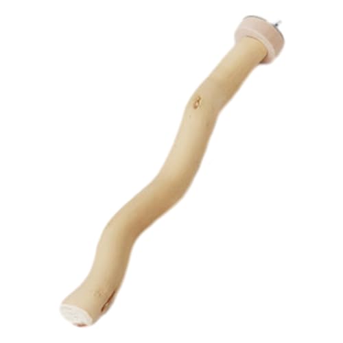 rockible Vogelstange, Haustier-Vogelspielzeug, tragbare Vogel-Schleifklauen, Papageienständer, AST, Vogel, stehende Traubenstäbchen für Aras, 20 cm rockible Vogelstange, Haustier-Vogelspielzeug, tragbare Vogel-Schleifklauen, Papageienständer, AST, Vogel, stehende Traubenstäbchen für Aras, 20 cm von rockible