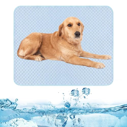 Kühlmatte für Hunde, Hundekühlmatte, Kühlmatte für Hunde&Katzen, Hundekühlmatte für den Außenbereich, Kühlmatte für Hunde für Hund und Katze in der Kiste, Zwinger, Bett Sofa (Blue, 77 x 55 cm) Kühlmatte für Hunde, Hundekühlmatte, Kühlmatte für Hunde&Katzen, Hundekühlmatte für den Außenbereich, Kühlmatte für Hunde für Hund und Katze in der Kiste, Zwinger, Bett Sofa (Blue, 77 x 55 cm) von routinfly
