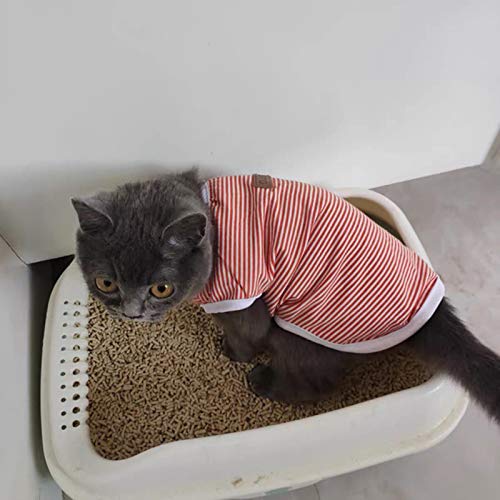 rrrrr T-Shirt für Katzen und Hunde, Baumwolle, gestreift, für Frühling und Sommer, Kleidung für kleine Katzen, niedliches Kätzchen, Welpen, Hunde von rrrrr