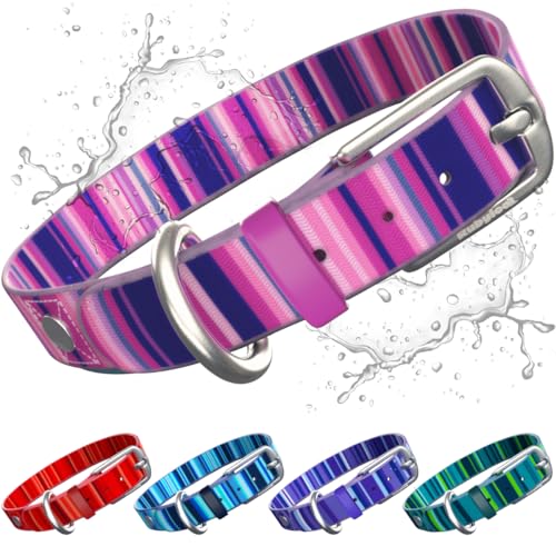 Rubyloo Wasserdichtes Hundehalsband | 100 % wasserdicht, geruchsdicht, geruchsdicht, lichtbeständig | leicht zu reinigen, schnell trocknend, weich und flexibel und dennoch langlebig | rost- und Rubyloo Wasserdichtes Hundehalsband | 100 % wasserdicht, geruchsdicht, geruchsdicht, lichtbeständig | leicht zu reinigen, schnell trocknend, weich und flexibel und dennoch langlebig | rost- und von rubyloo