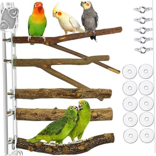 5 Stücke Papageienspielzeug, Naturholzvogel Barch Zweige Holzpapagei von rupusiner