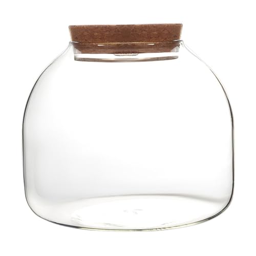 Glasterrarium für Pflanzen, 1600 ml Pflanzen -Terrarium mit Korkdeck Glasterrarium für Pflanzen, 1600 ml Pflanzen -Terrarium mit Korkdeck von rupusiner