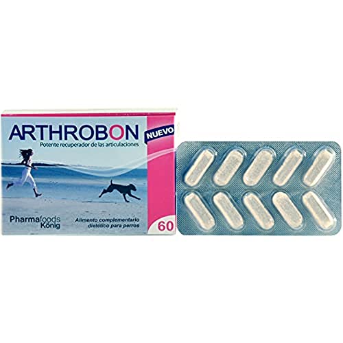 König Arthrobon 60 Comp König Arthrobon 60 Comp von König