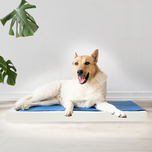 Saarschaum® Örthopädisches Hundebett Matratze RG 3555 Komfortschaum (S) von saarschaum