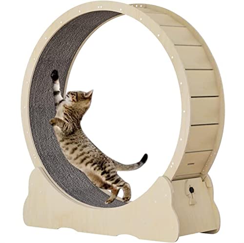 Elegantes Katzenlaufband aus Holz mit austauschbarer Laufbahn, Katzenrad-Trainingsgerät für Hauskatzen, Fitness-Spielzeug zum Abnehmen, XL-Weiß (Braun L) von saditesdk