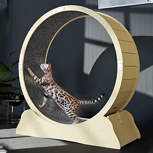 Haustiermöbel, glattes, leises Katzenlaufband/Lauf-Spinnspielzeug für die Gesundheit von Katzen, Indoor-Katzensportgerät zum Abnehmen (100 cm (39 3/8")) von saditesdk
