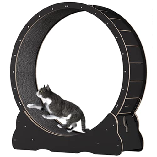 Katzenlaufband für Katzen, Gerät zum Abnehmen, robust, multifunktional, für Katzen zum Abnehmen, robuste Katzenmöbel, langlebig, grün, Größe M (schwarz, L) von saditesdk
