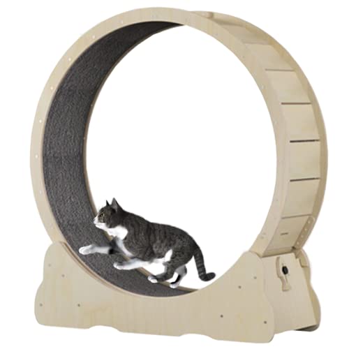 Katzenlaufband für Katzen zum Abnehmen, robust, multifunktional, für Katzen zum Abnehmen, robuste Katzenmöbel, langlebig, grün, Größe M (Holzfarbe S) von saditesdk