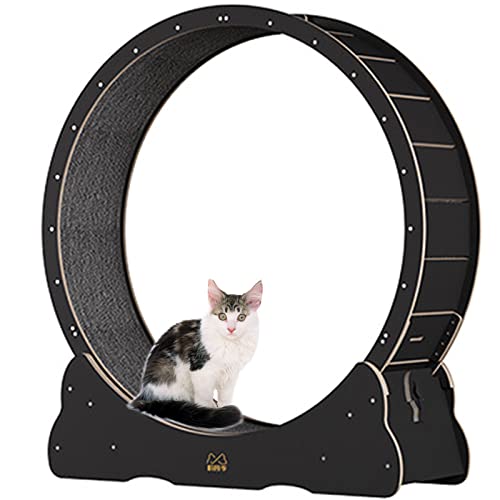 Katzenlaufrad, Katzenlaufband, Übungsrad, niedliche Katzenmöbel, Haustierspielzeug, Katzenspielzeug, Gewichtsverlustgerät für Katzen, XL-Pink (Schwarz M) von saditesdk