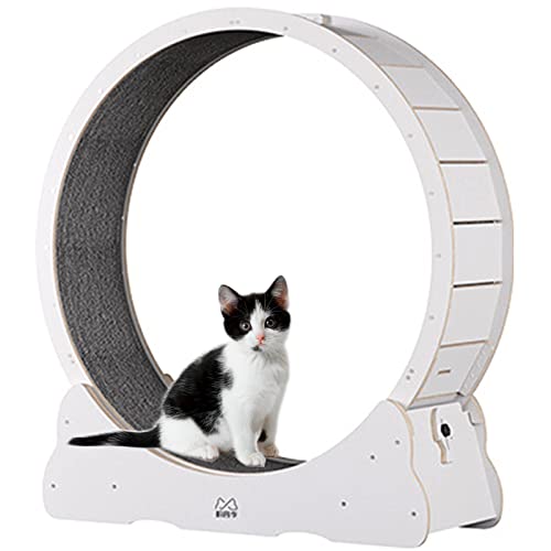 Katzenlaufrad, Katzenlaufband, Übungsrad, niedliche Katzenmöbel, Haustierspielzeug, Katzenspielzeug, Gewichtsverlustgerät für Katzen, XL-Pink (Weiß M) von saditesdk