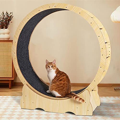 Katzenrad, Katzenprodukte zur Gewichtsreduktion für Hauskatzen, interaktives Katzenspielzeug, Katzenlaufband, geräuschlos aus Holz von saditesdk